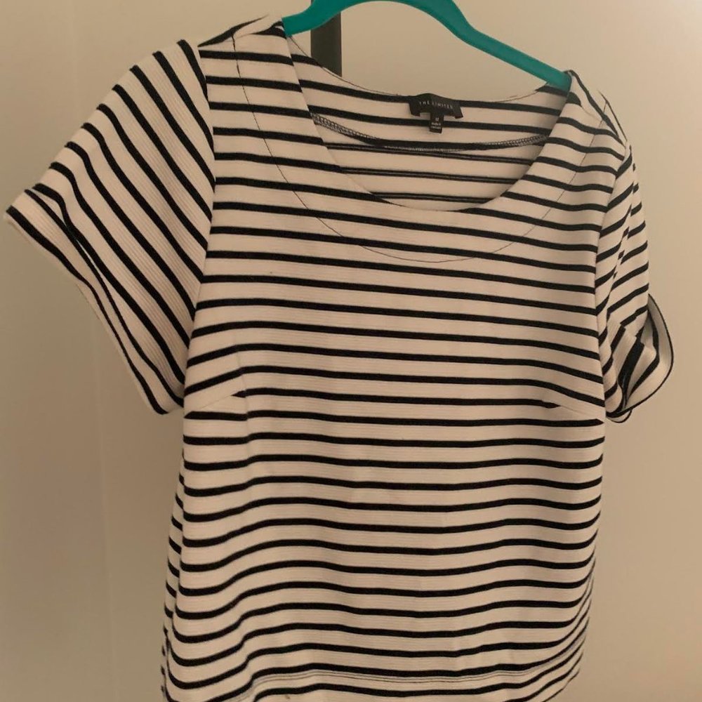 The Limited Blue and White Stripe Top